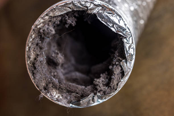 Best Ductwork Odor Removal in Forest Heights, MD